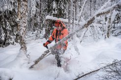 Pakkaspäiväkäytäntö metsä- ja metsäkonealalla