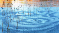 Industrifackets öppettider vid årsskiftet