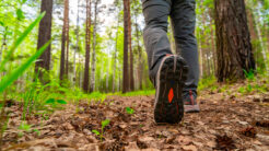 PHT järjestää hyvinvointikursseja vielä tänä vuonna