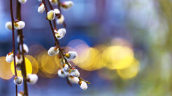 Rauhallista pääsiäistä!