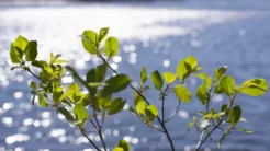 Kevään ja kesän 2026 arkipyhämääräykset Teollisuusliiton aloilla